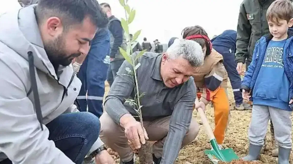 Kandıra'da 1.500 Defne Fidanı Toprakla Buluştu.