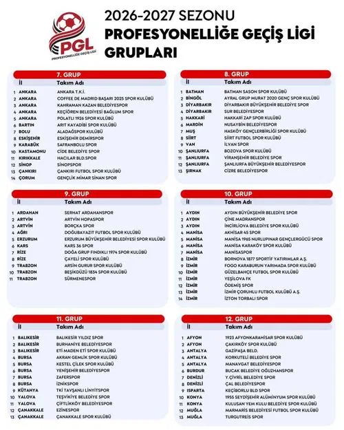 Profesyonelliğe Geçiş Ligi takvimi ve grupları netleşti