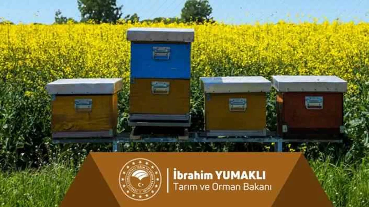 Çiftçiye dev destek ödemesi