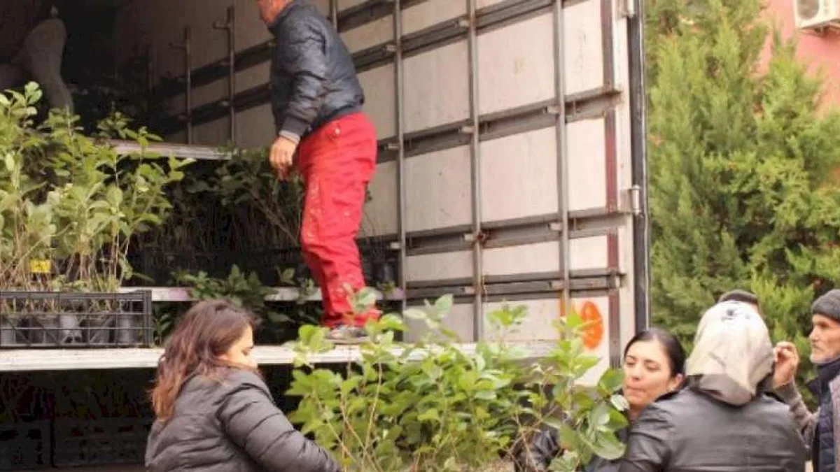 Çiftçilere aronya desteği