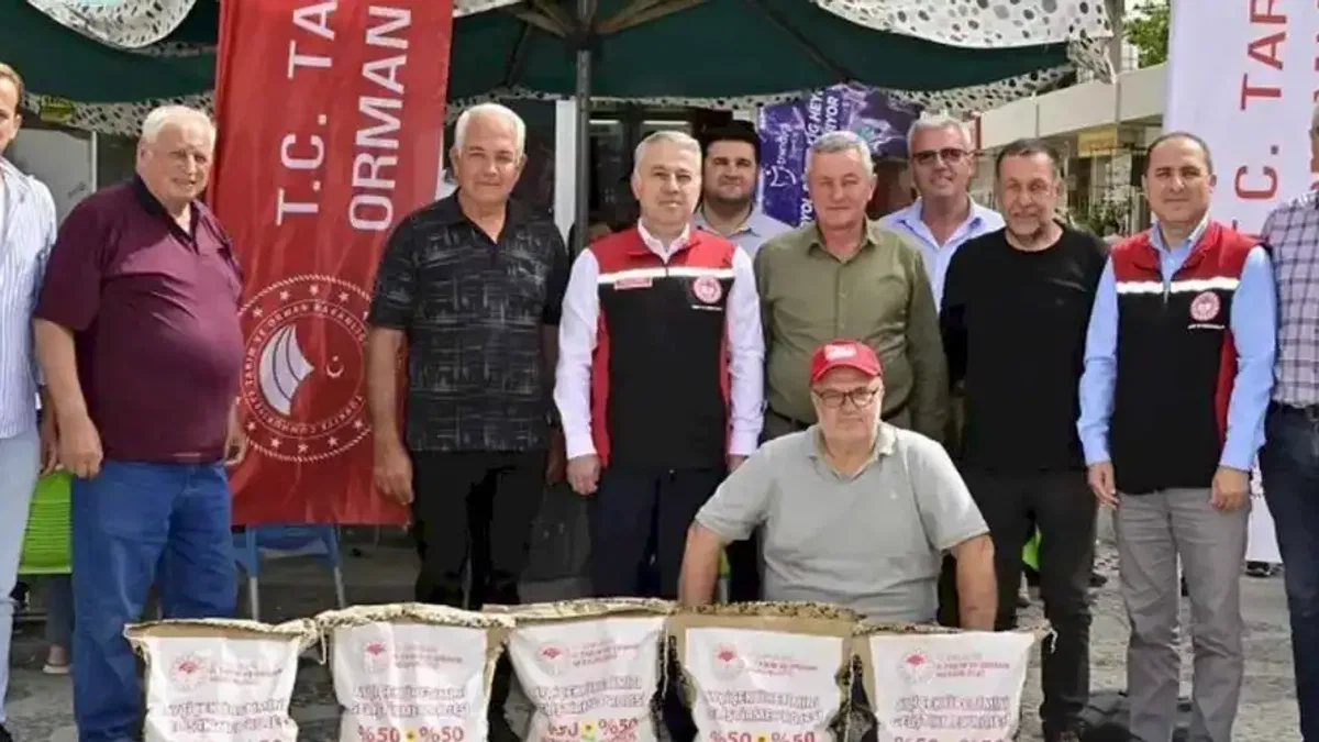 İzmir'de ayçiçeği üreticilerine yerli tohum desteği