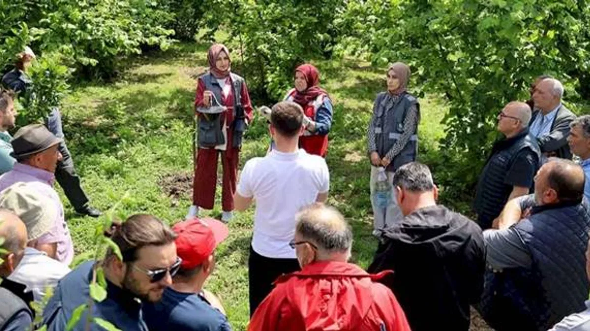 Sakarya'da çiftçilere feromon tuzağı ulaştırıyor
