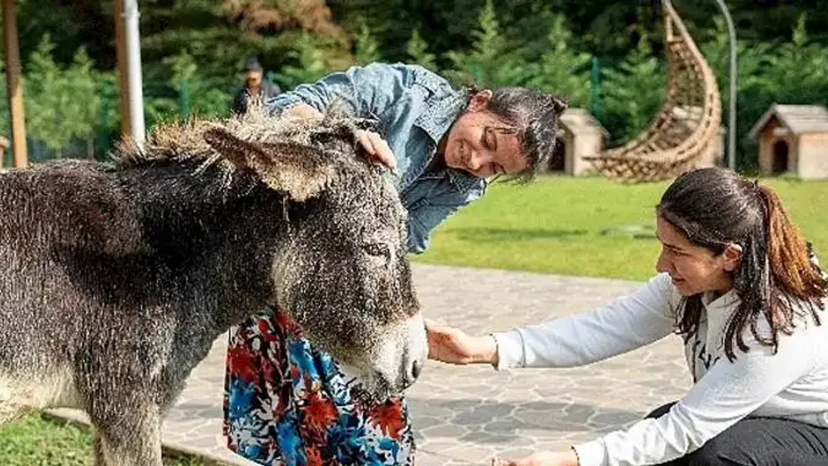 Hepsiburada, 4 Ekim Hayvanları Koruma Günü'nde Can Dostlarımızı Unutmadı