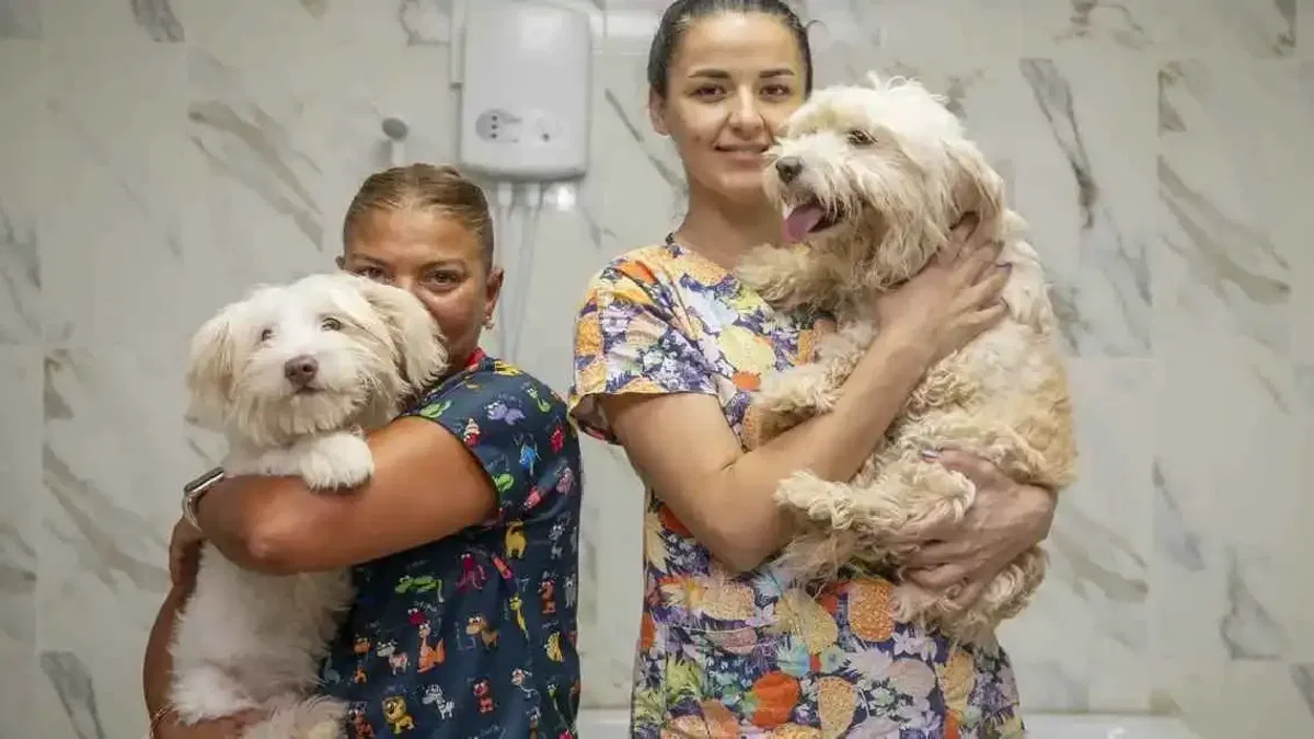 Mersin'de patili dostlar için anlamlı iş birliği