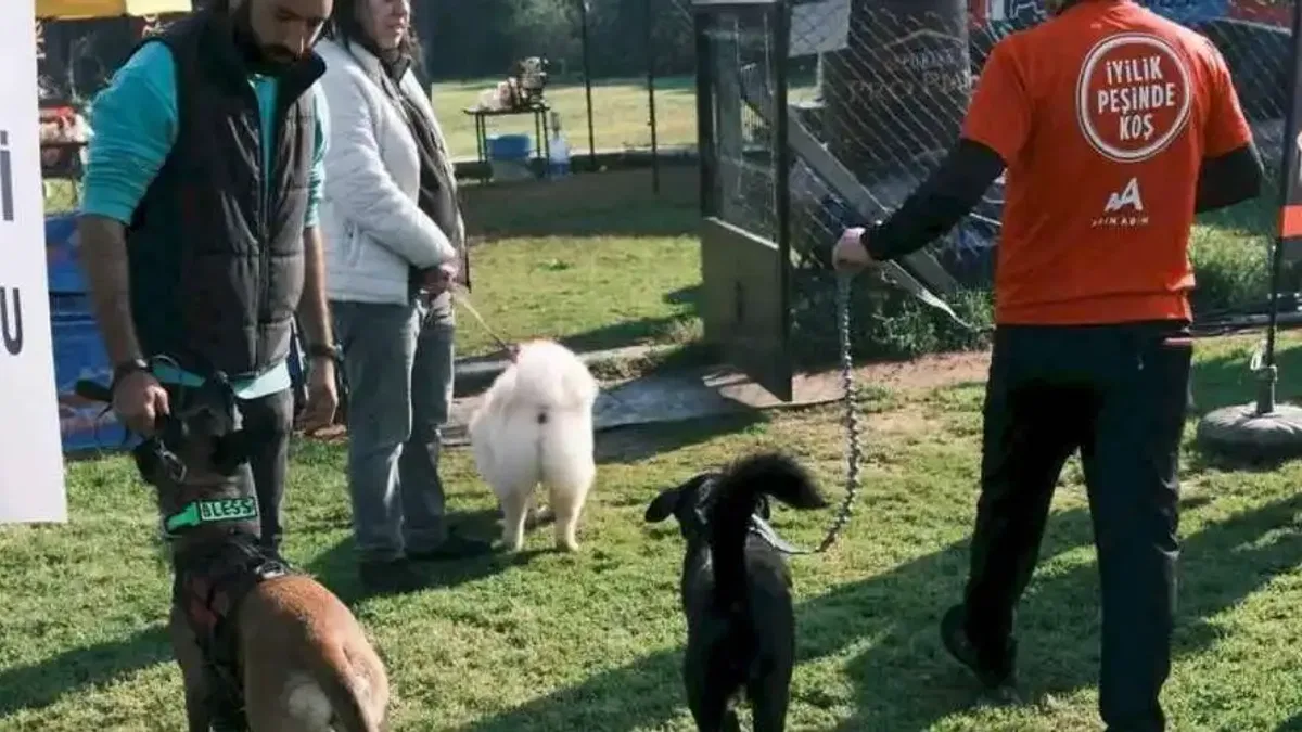 Türkiye’de ilk kez Köpekli Labirent Oryantiring yarışması yapıldı