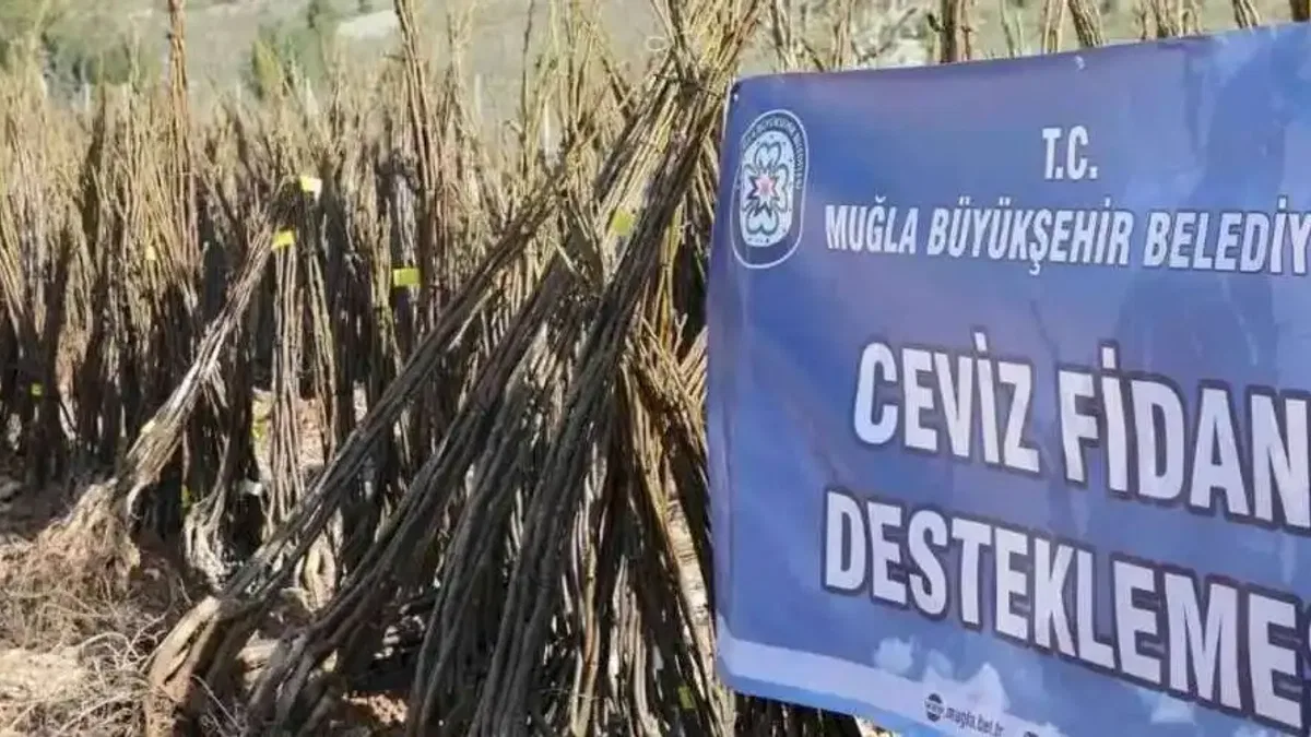 Muğla 'her kapıda bir fidan'la toprağa sahip çıkıyor