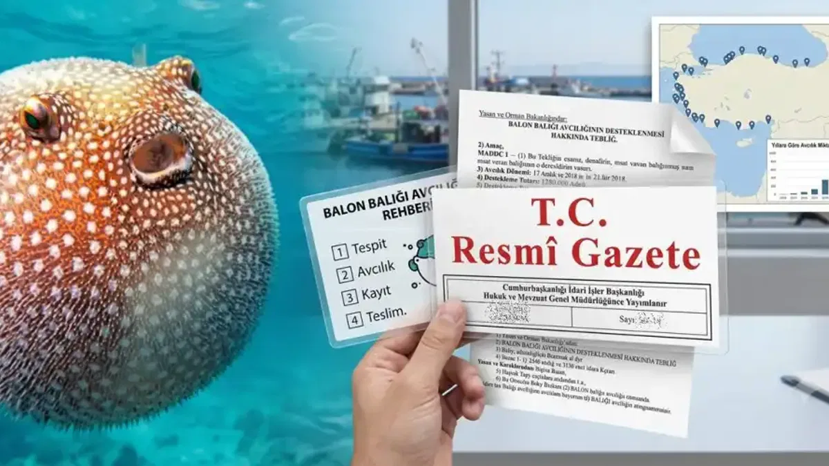Balon Balığı avcılığı destekleri artırıldı... Zehirli türe destek 35 TL'ye yükseltildi