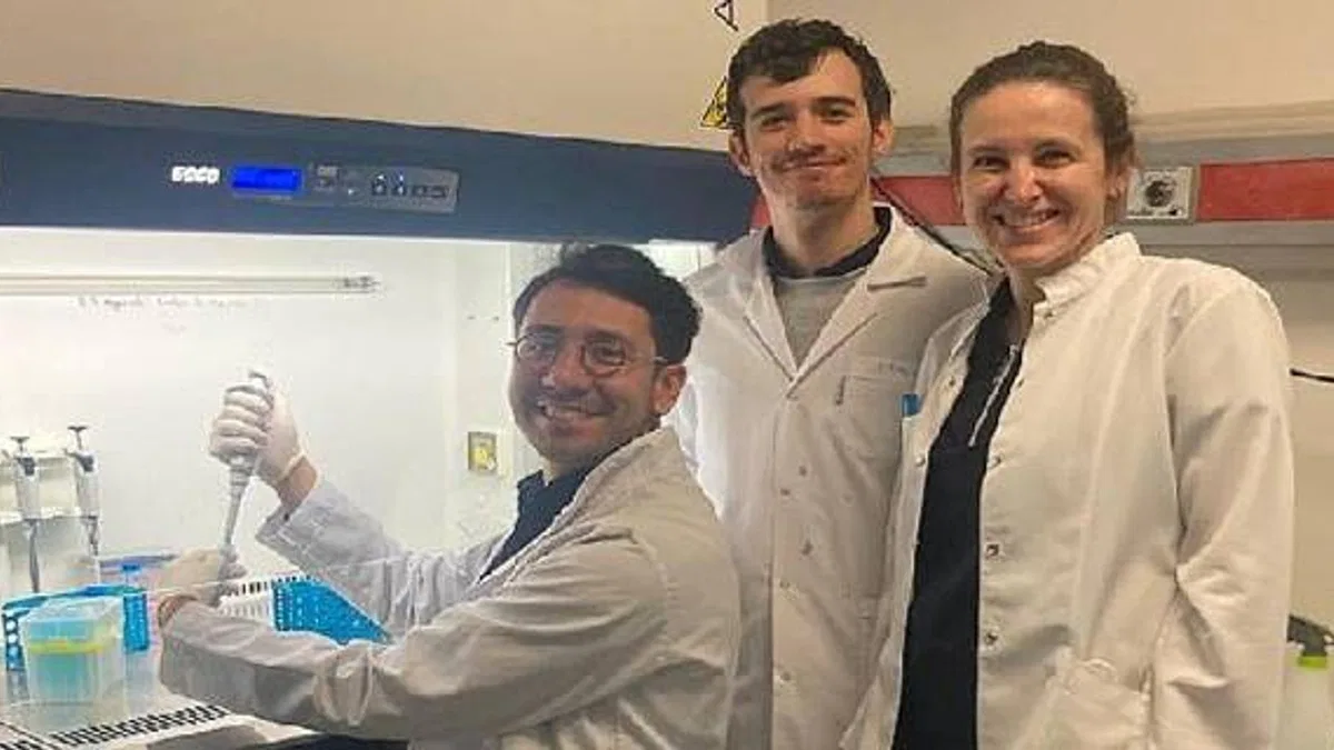 Dokuz Eylül ve Harvard Üniversitesi'nden ortak proje