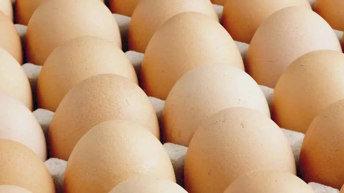 A sınıfı yumurtalarda 'tüketim tarihi' zorunluluğu