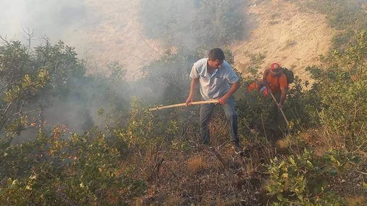 Tunceli’de çıkan örtü yangınına müdahale ediliyor