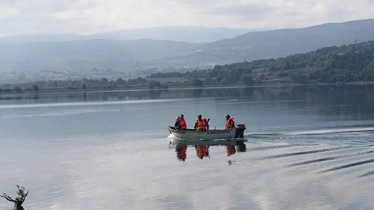Bolu'daki Gölköy Barajı'nda kıyıya vuran ölü balıklar toplanıyor