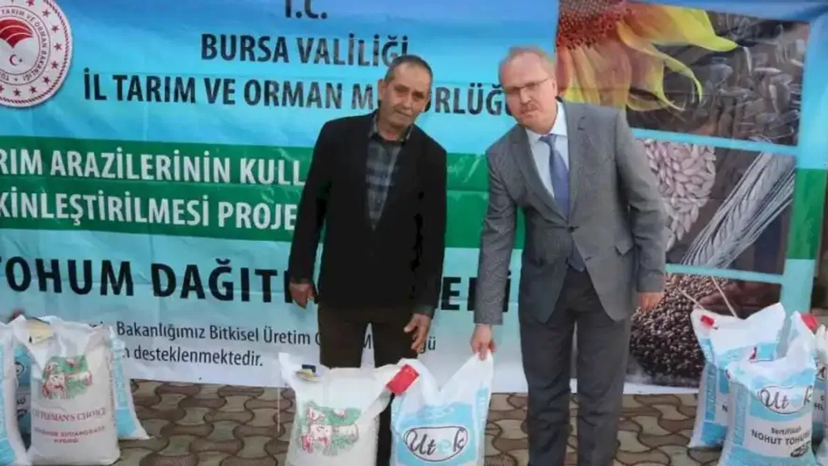 Mustafakemalpaşalı üreticilere nohut ve sorgum tohumu desteği