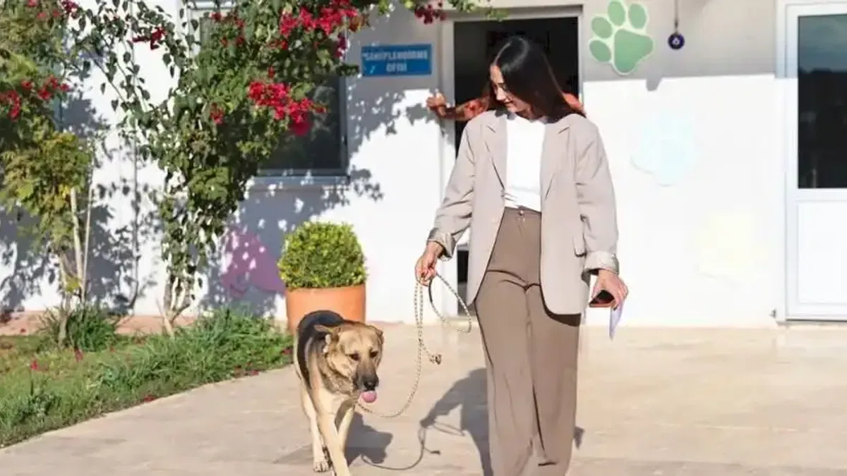 Antalya’da “Satın alma, sahiplen” çağrısı