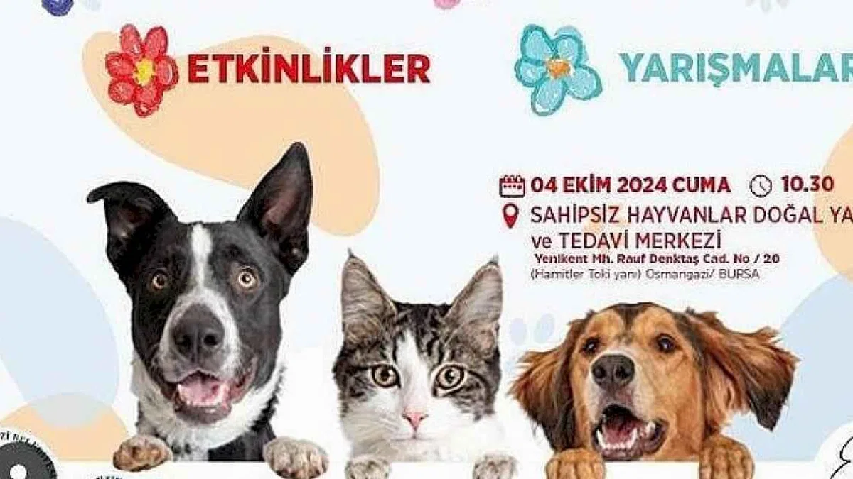 Osmangazi Belediyesi, 4 Ekim Dünya Hayvanları Koruma Günü'nde düzenleyeceği bir dizi etkinlik ile hayvan haklarına ve doğal yaşamın önemine dikkat çekecek