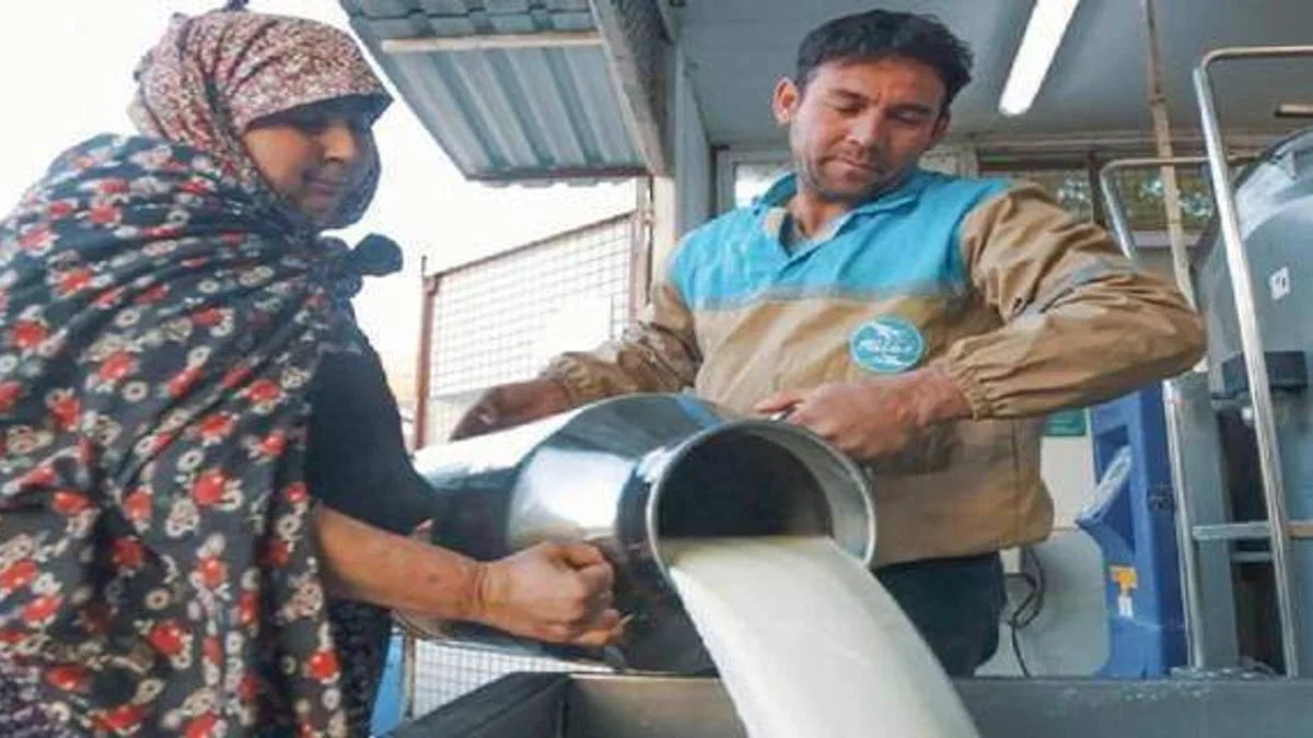 Süt üretimi yüzde 6 azaldı!