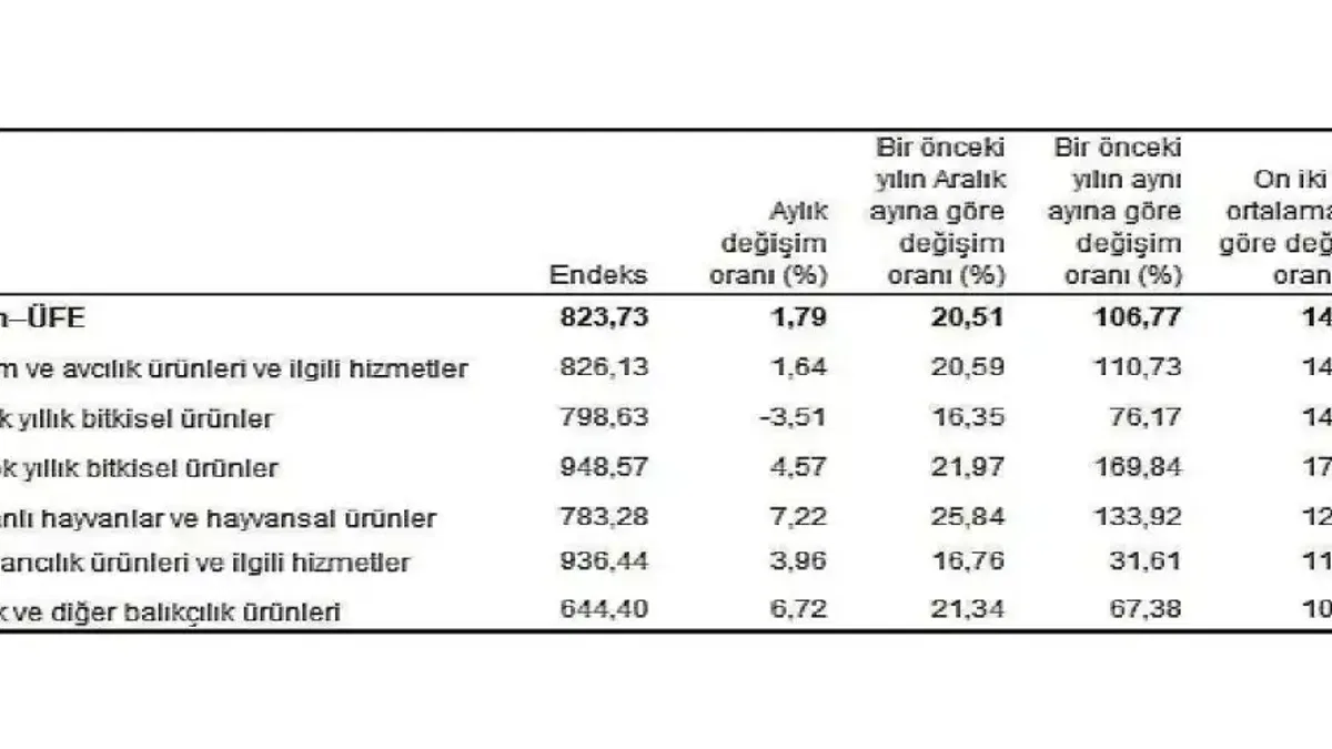 TÜİK: Tarım ürünleri üretici fiyat endeksi (Tarım-ÜFE) yıllık %106,77, aylık %1,79 arttı