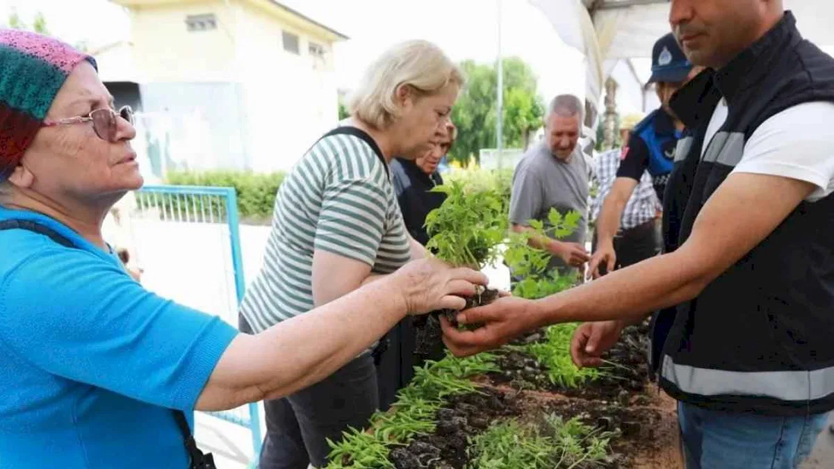 Efes Selçuk’ta yerel tohum fideleri halkla buluştu