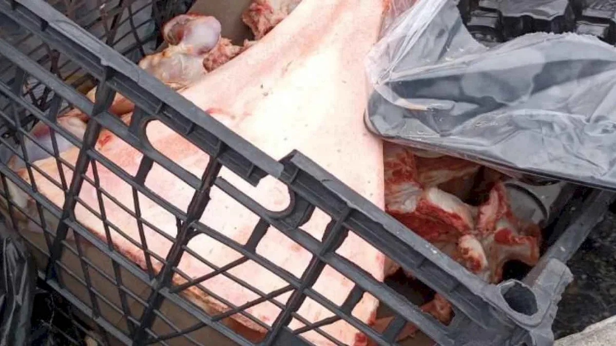Düzce'de çöpe atılan şüpheli kemikler ekipleri harekete geçirdi