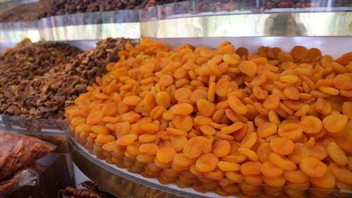 Malatya'dan 168 milyon dolarlık kuru kayısı ihracatı