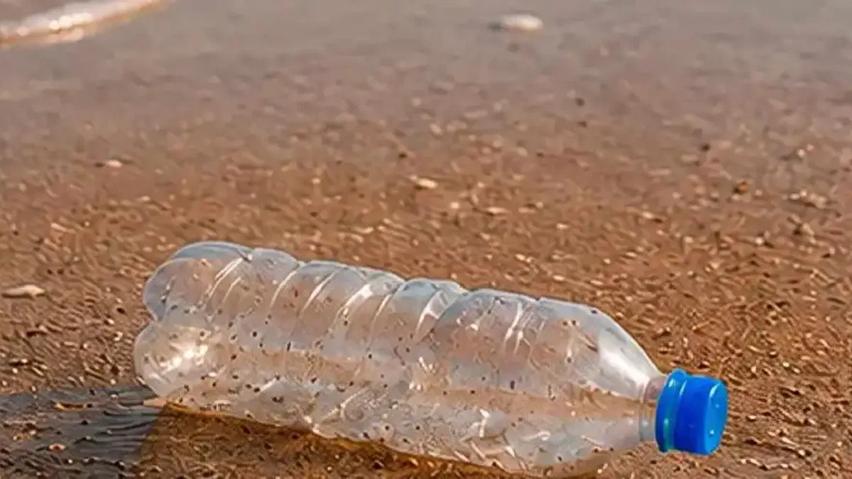 Plastiksiz Temmuz hareketi ile küresel farkındalık