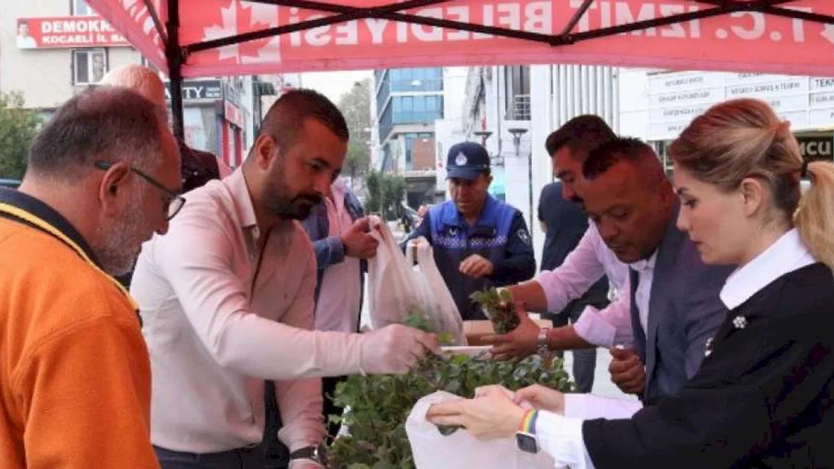 İzmit, hibe karalahana fidelerini üreticilerle buluşturdu