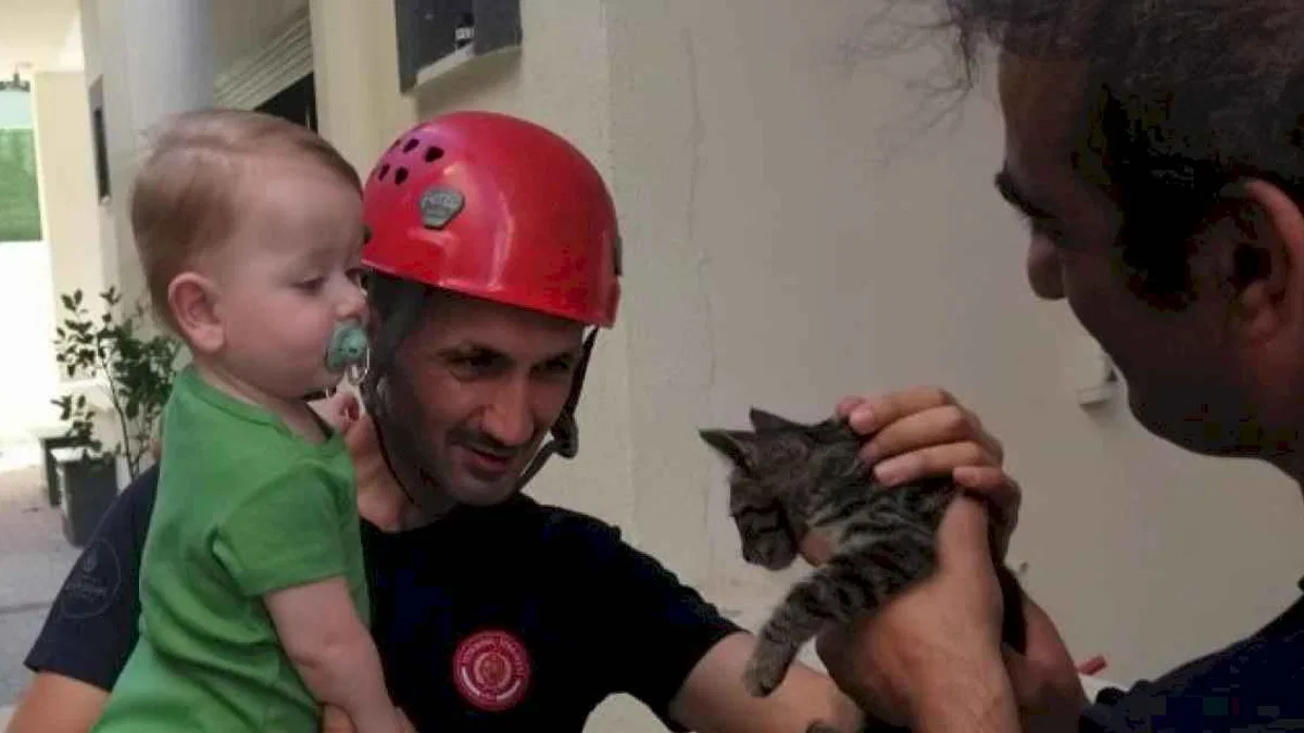 En çok kediler kurtarıldı... İstanbul'da 5 ayda 6 bin hayvan kurtarıldı