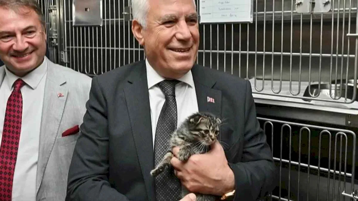Bursa Büyükşehir'den can dostlar için önemli adım
