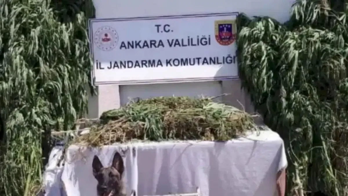 12 ilde Narkoçelik'e 28 tutuklama!