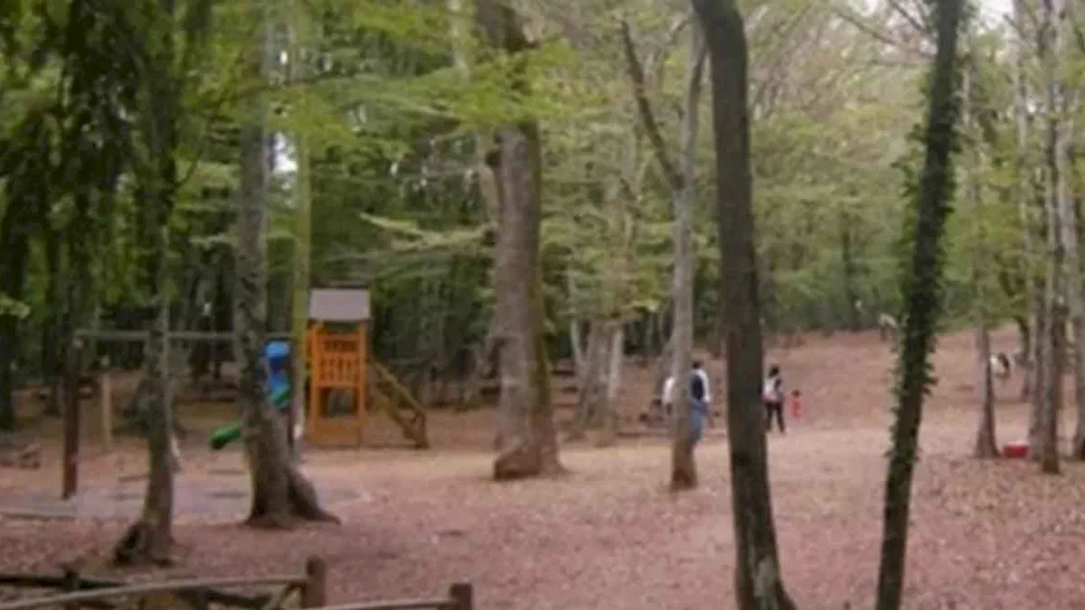 Tarım ve Orman Bakanlığı'ndan 'Belgrad' açıklaması
