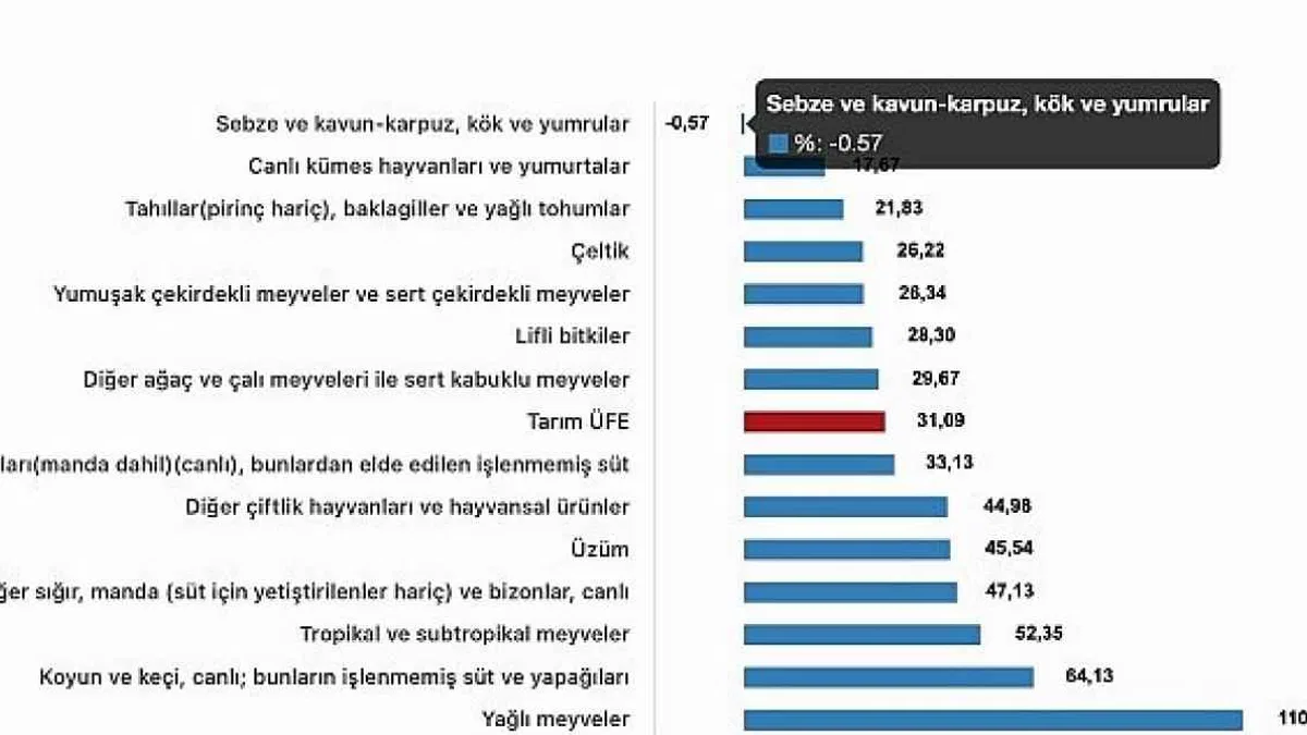 Tüik: Tarım ürünleri üretici fiyat endeksi (Tarım-ÜFE) yıllık %31,09 arttı, aylık %2,00 arttı
