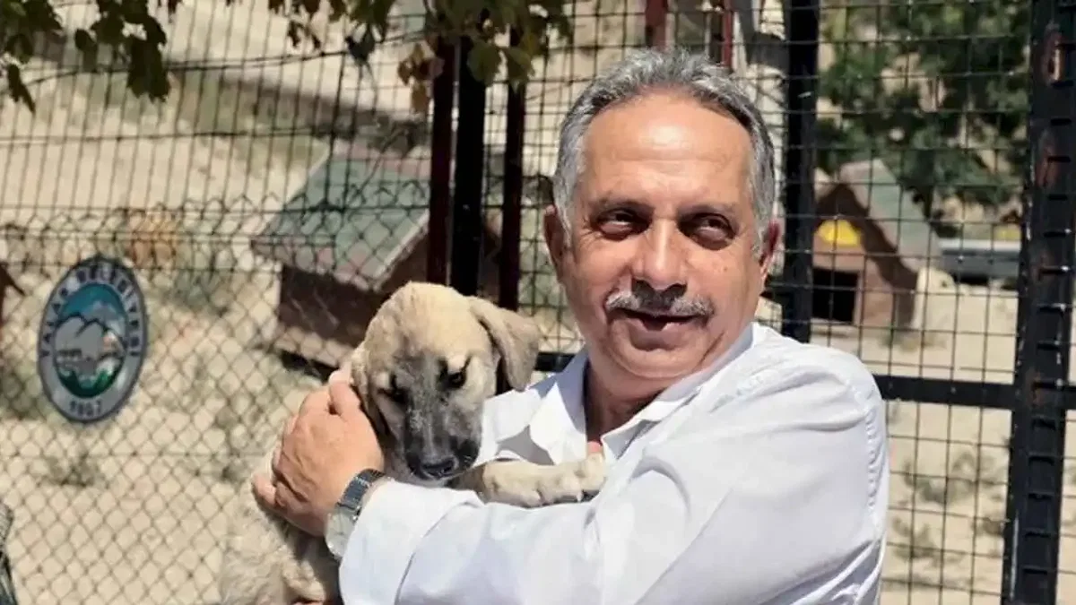 Kayseri Talas Pati Evi can dostlara yuva oluyor