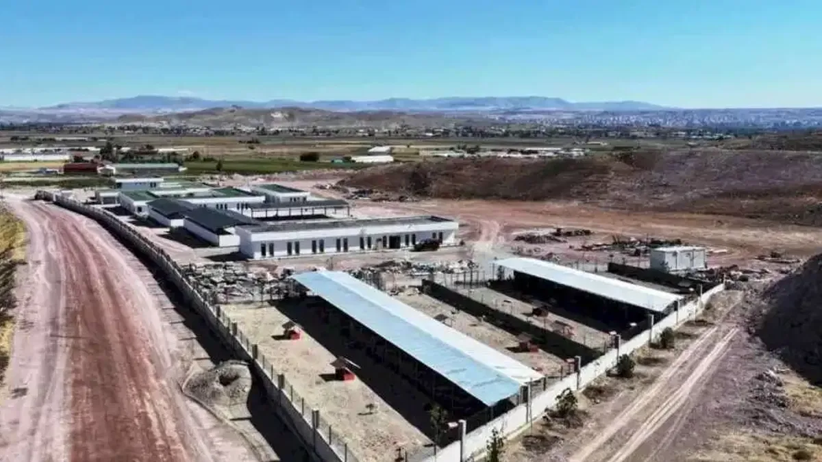 Kayseri Kocasinan'ın can dostlar merkezi örnek olacak
