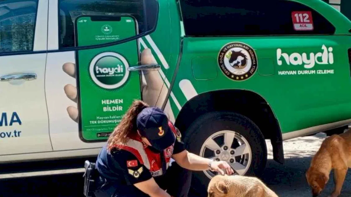 Edirne Jandarma Komutanlığı yaz sıcaklarında can dostları unutmuyor