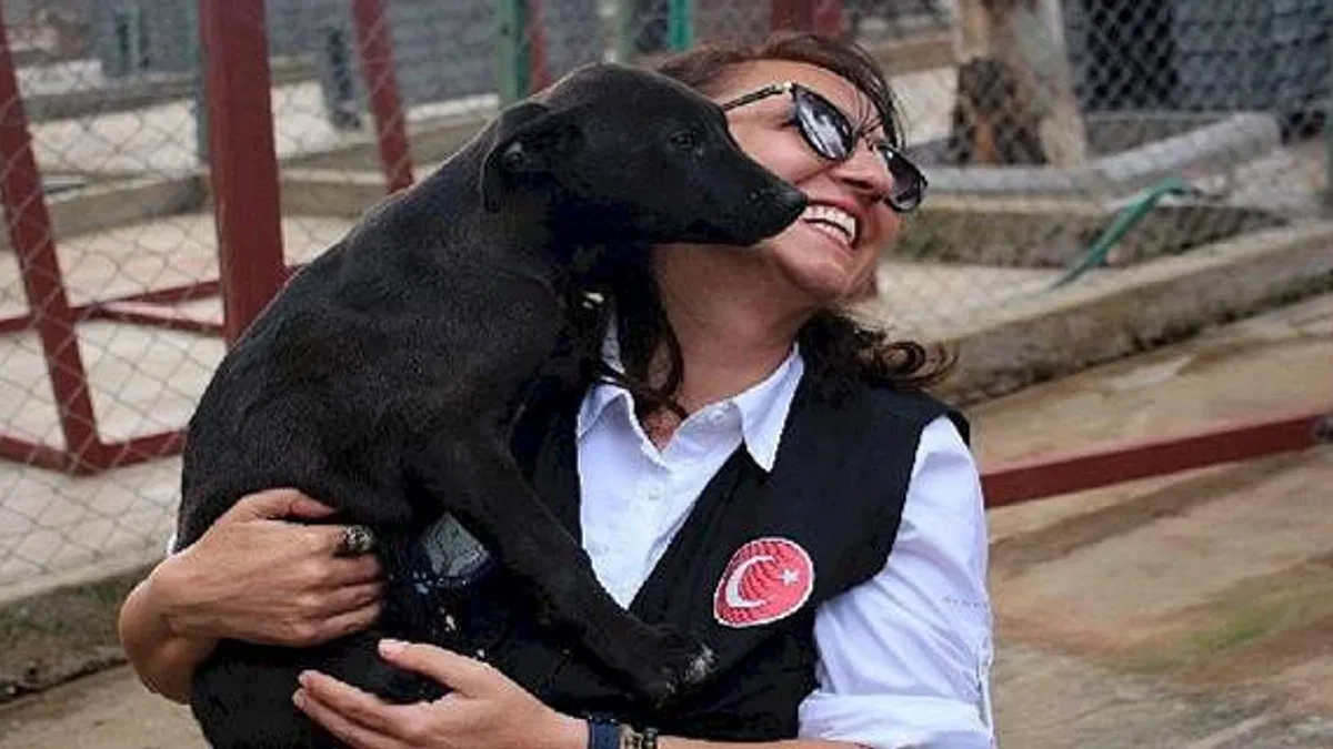 Karşıyaka Belediyesi, can dostlara huzurlu bir hayat sunuyor