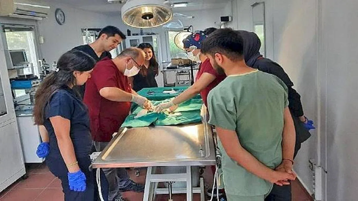 Osmangazi Belediyesi'nden Veteriner Fakültesi öğrencilerine uygulamalı eğitim