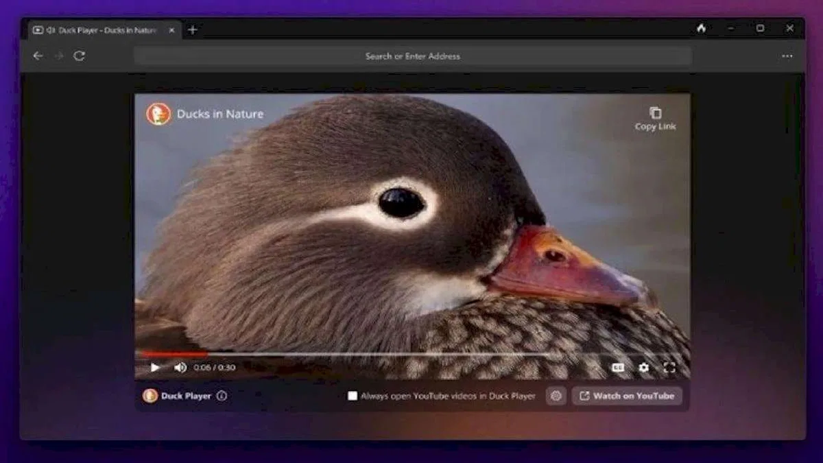 DuckDuckGo Windows Web Tarayıcısı İçin Açık Beta Süreci Başladı