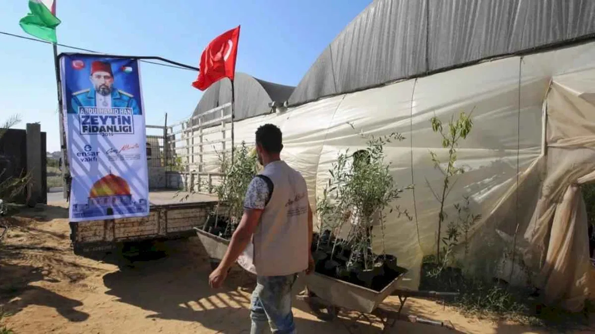 Genç Aktivistler’den Filistin’e 10 bin zeytin fidanı