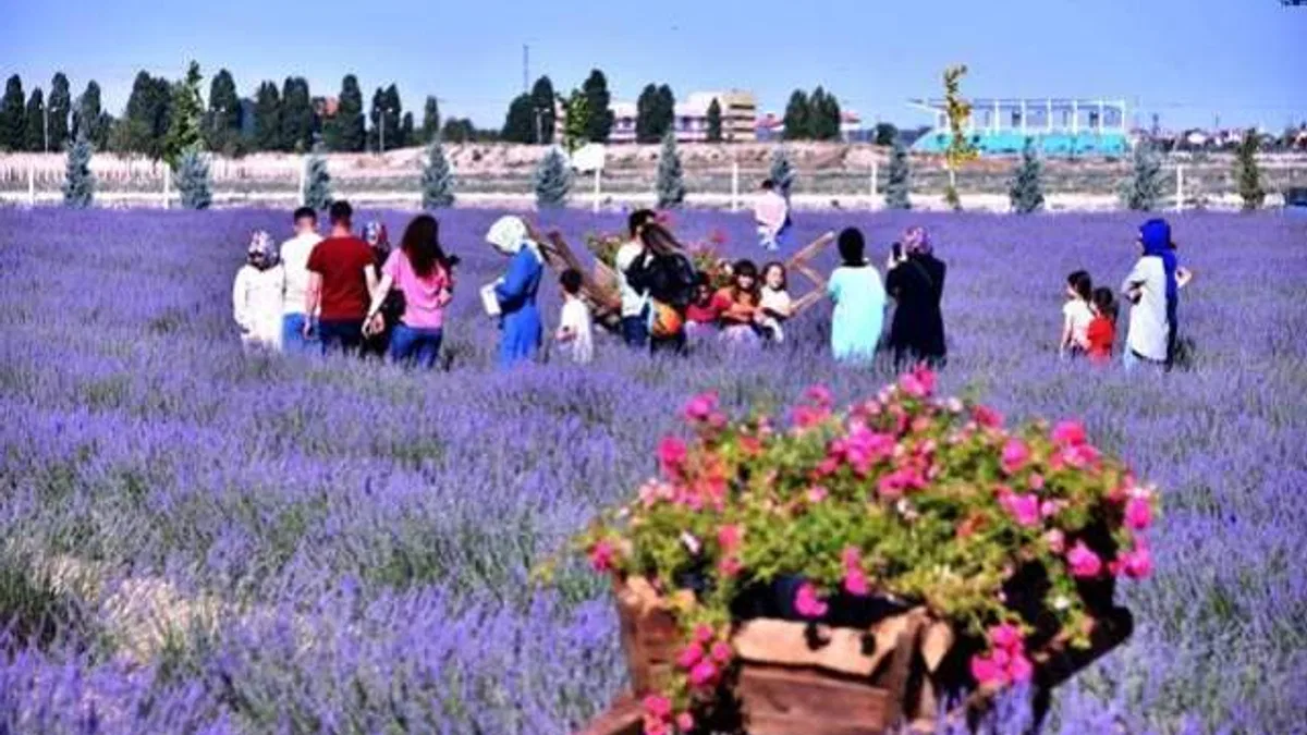 Karatay lavanta bahçesi kapılarını vatandaşlara açtı