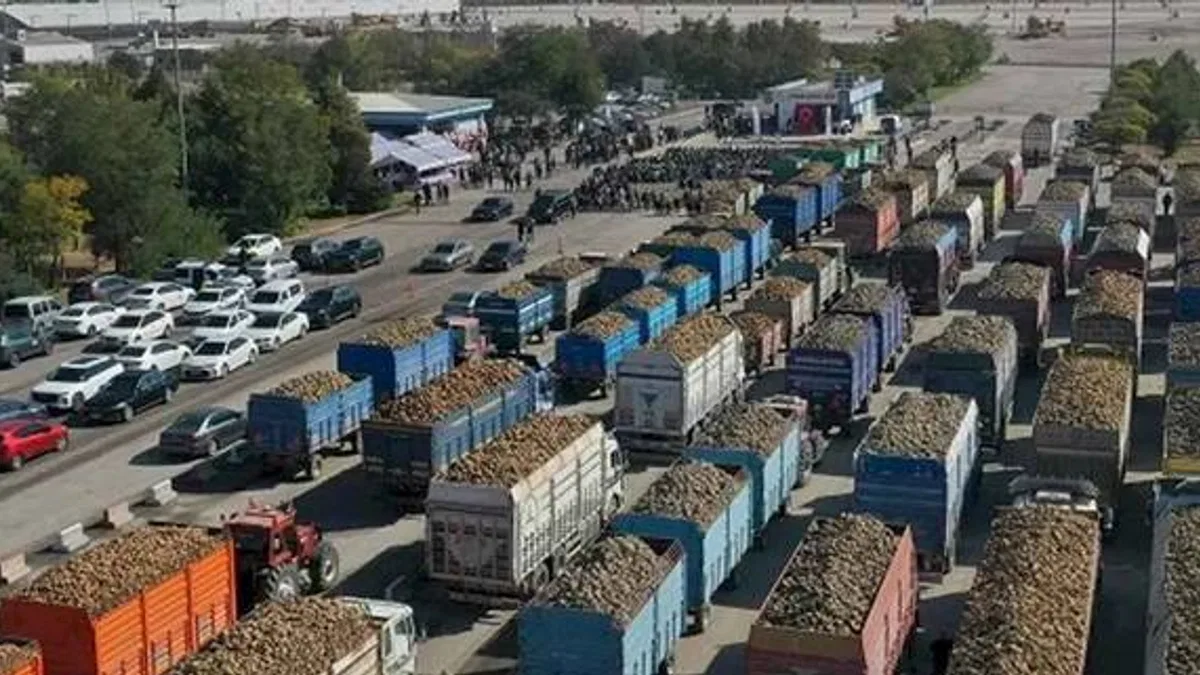 Konya ve Çumra fabrikaları pancar alımlarına başladı