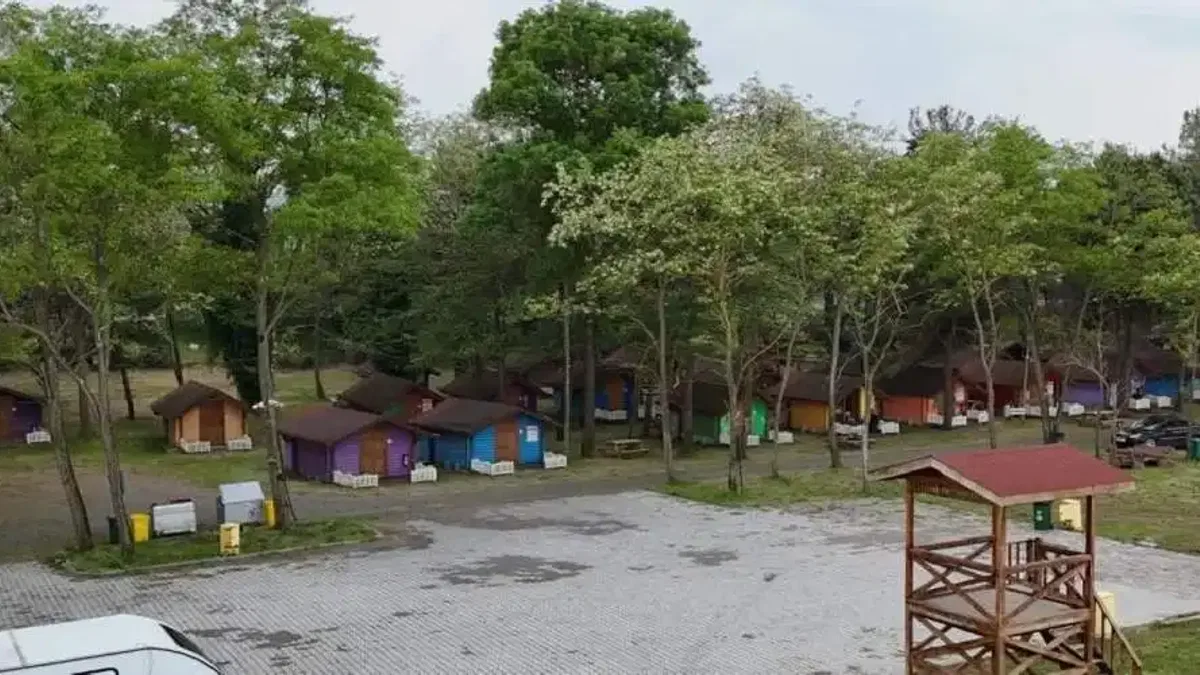 Ordu Büyükşehir’den Çınarsuyu’na büyük dokunuş