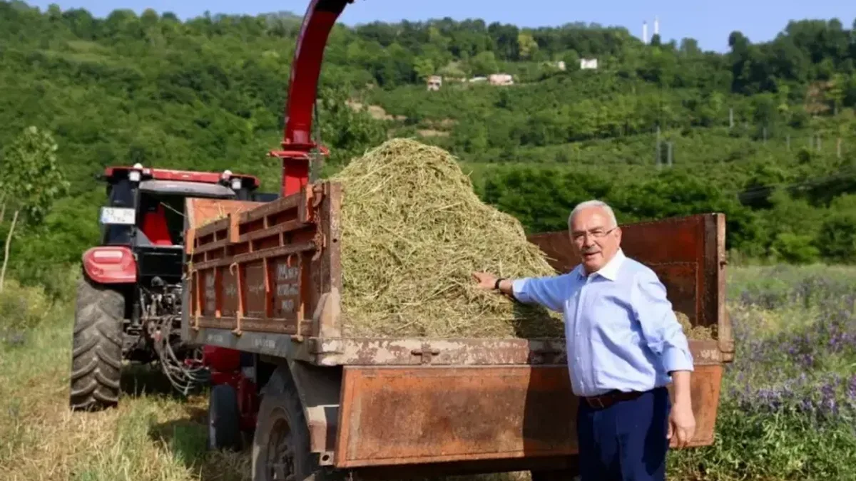 Ordu’da atıl arazi tarıma kazandırıldı