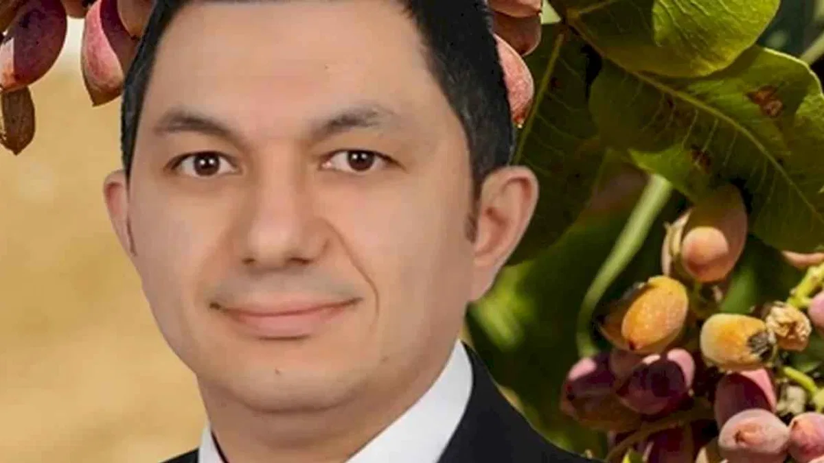 UKAB MYK Üyesi Büyükmurat: İthal fıstık çiftçiyi bitirir!