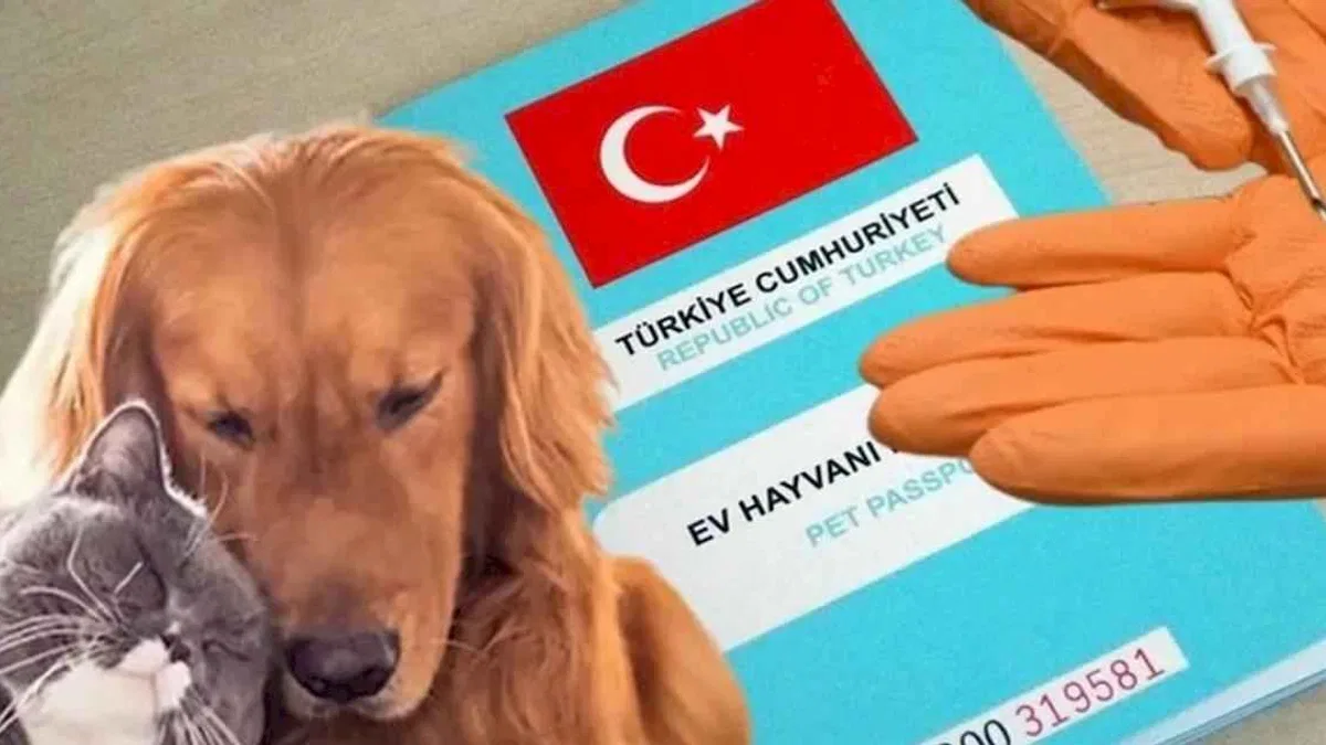 Kimliklendirilmeler yıl sonuna uzatıldı!