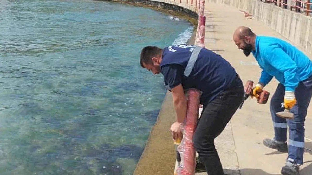 Kocaelilileri bu yaz pırıl pırıl sahiller bekliyor