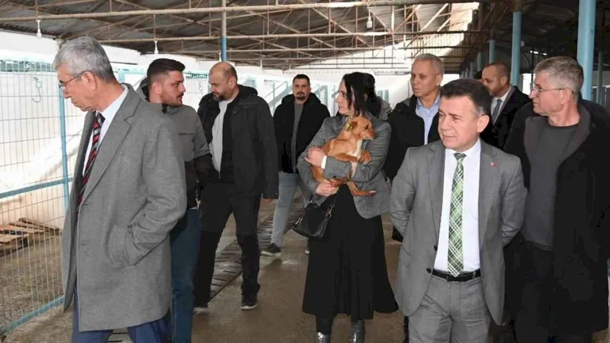 Manisa'da Sokak Hayvanları Komisyonu toplandı