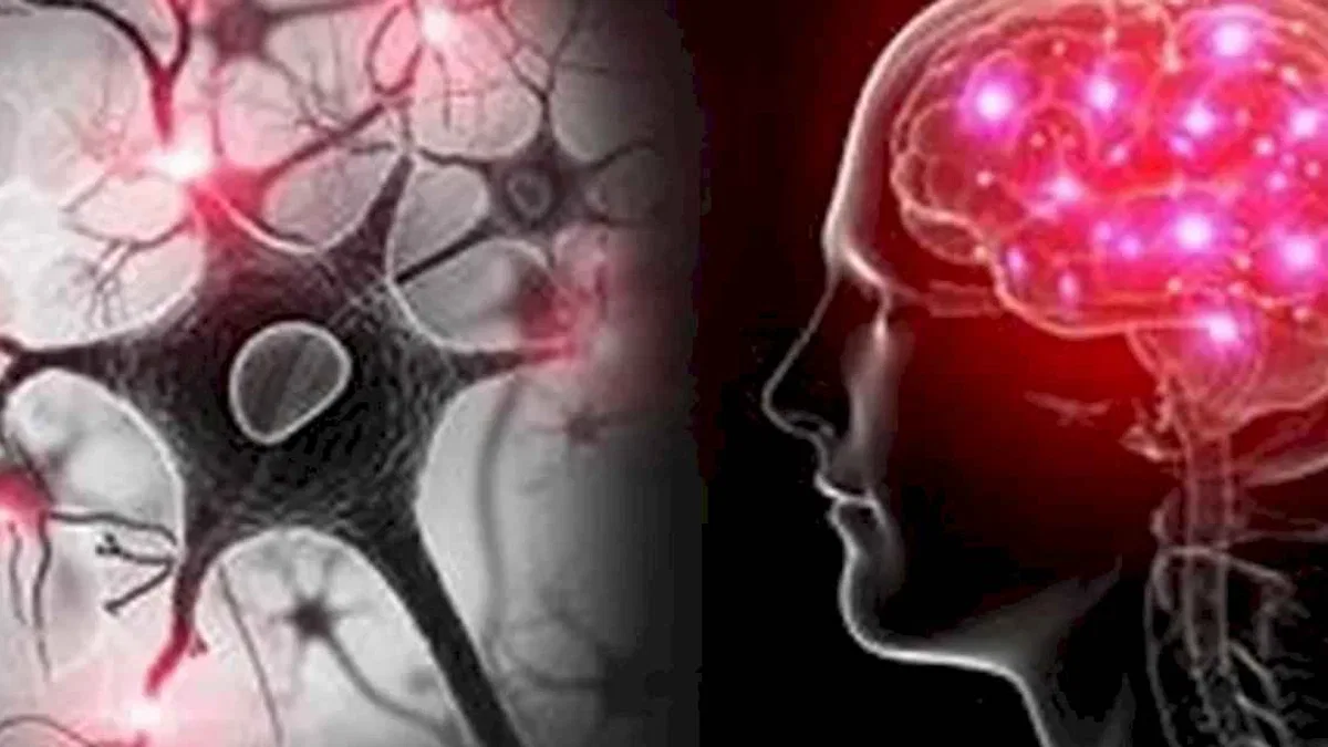 Yapay zekâ ve EEG ile otizm ve dislekside erken teşhis umudu