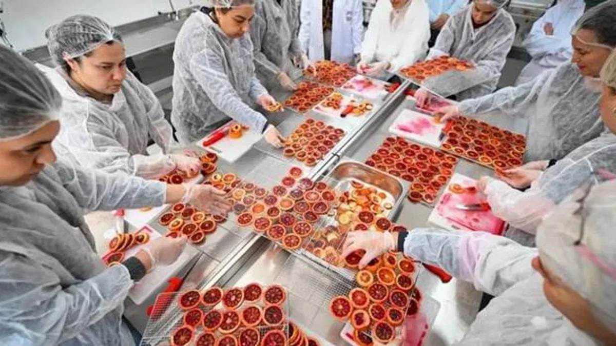 Mersinli kadınlar kan portakalını geleceğe taşıyor