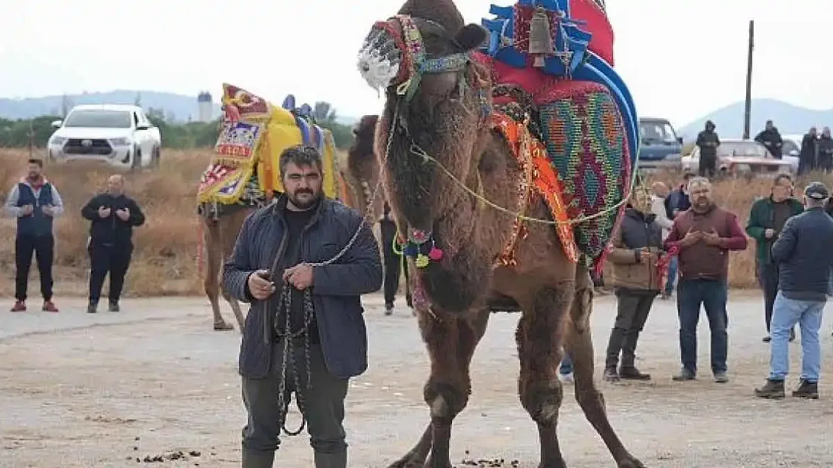 Burhaniye'de geleneksel Havut Hayrı gerçekleştirildi.