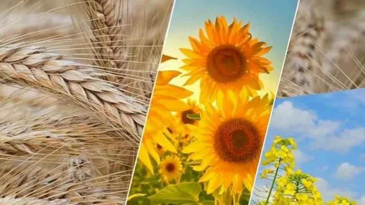 2,6 milyar TL'lik tarımsal destek ödemesi yapılacak