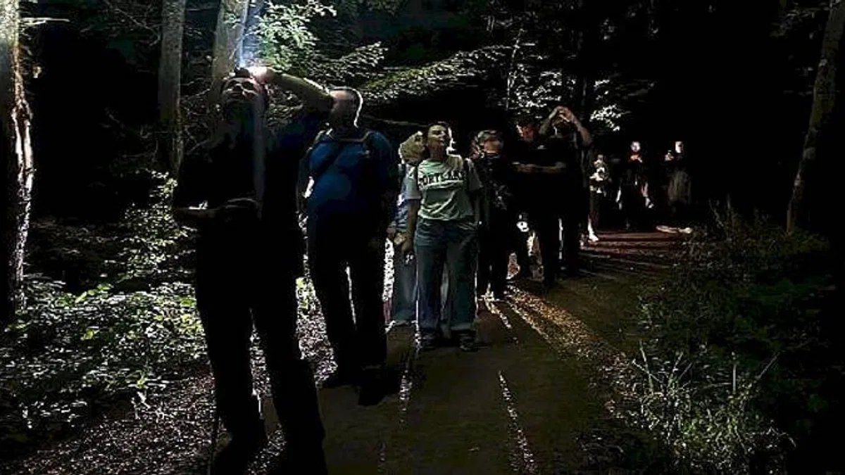 Ormanya'da macera dolu gece yürüyüşü